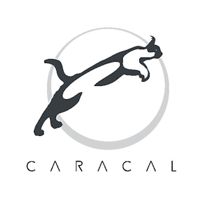 CARACAL OIL & GAS SERVICES